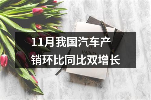 11月我国汽车产销环比同比双增长