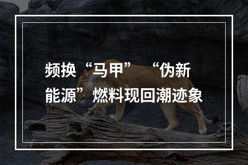 频换“马甲” “伪新能源”燃料现回潮迹象