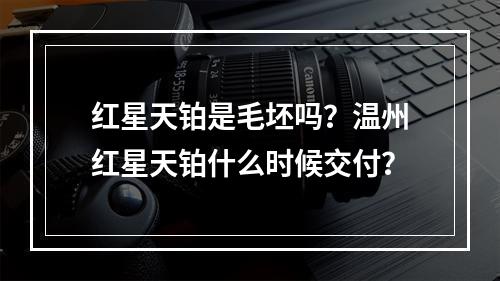 红星天铂是毛坯吗？温州红星天铂什么时候交付？