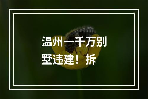 温州一千万别墅违建！拆