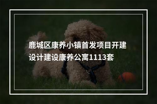 鹿城区康养小镇首发项目开建 设计建设康养公寓1113套