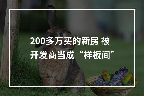 200多万买的新房 被开发商当成“样板间”