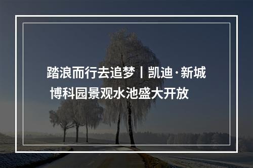 踏浪而行去追梦丨凯迪·新城 博科园景观水池盛大开放