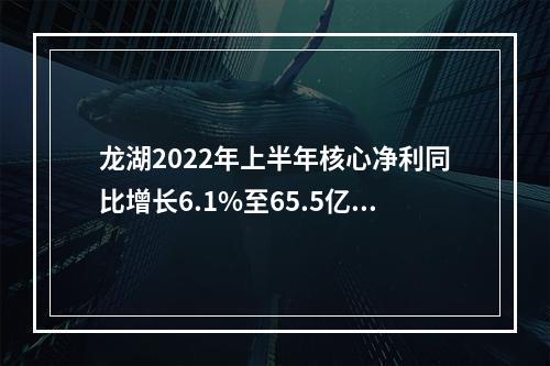 龙湖2022年上半年核心净利同比增长6.1%至65.5亿元 经营性业务收入增26%至110.4亿元