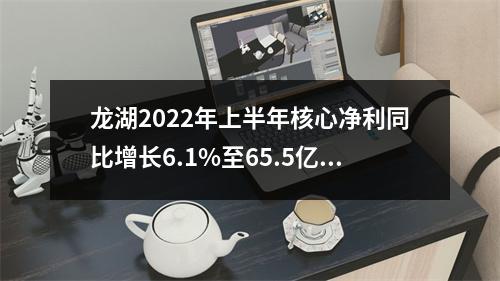 龙湖2022年上半年核心净利同比增长6.1%至65.5亿元 经营性业务收入增26%至110.4亿元