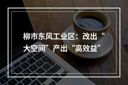 柳市东风工业区：改出“大空间”产出“高效益”