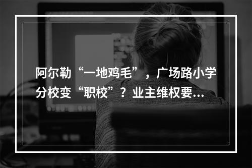 阿尔勒“一地鸡毛”，广场路小学分校变“职校”？业主维权要抓这个关键点……