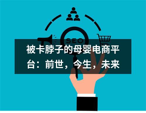 被卡脖子的母婴电商平台：前世，今生，未来