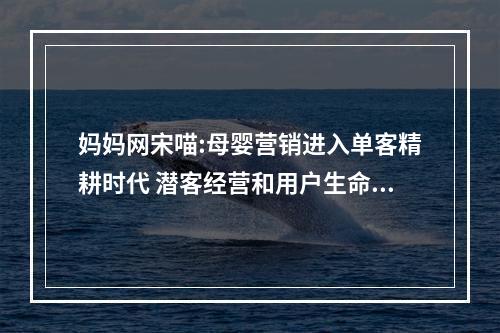妈妈网宋喵:母婴营销进入单客精耕时代 潜客经营和用户生命周期管理成关键