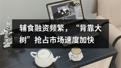辅食融资频繁，“背靠大树”抢占市场速度加快