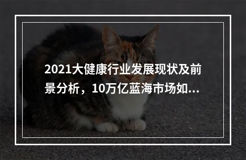 2021大健康行业发展现状及前景分析，10万亿蓝海市场如何正确入局