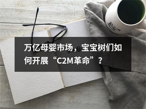 万亿母婴市场，宝宝树们如何开展“C2M革命”？