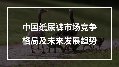 中国纸尿裤市场竞争格局及未来发展趋势