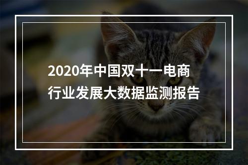2020年中国双十一电商行业发展大数据监测报告