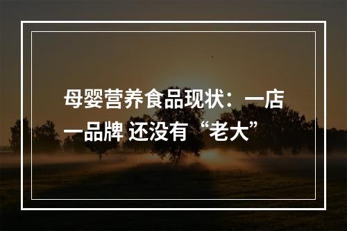 母婴营养食品现状：一店一品牌 还没有“老大”