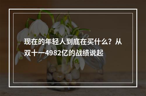现在的年轻人到底在买什么？从双十一4982亿的战绩说起